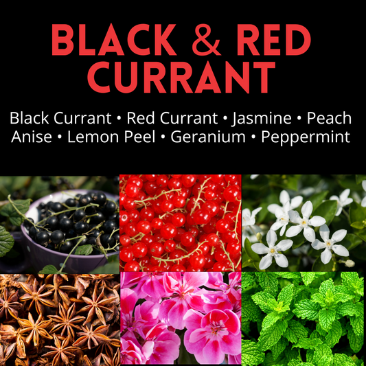 Black & Red Currant Wax Melts