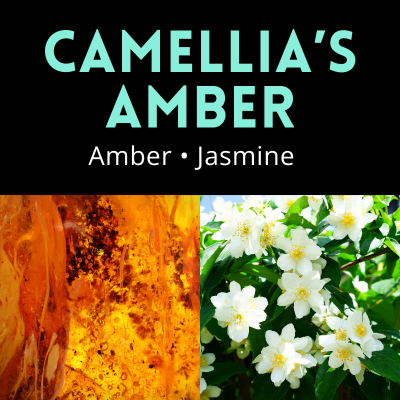 Camellia's Amber