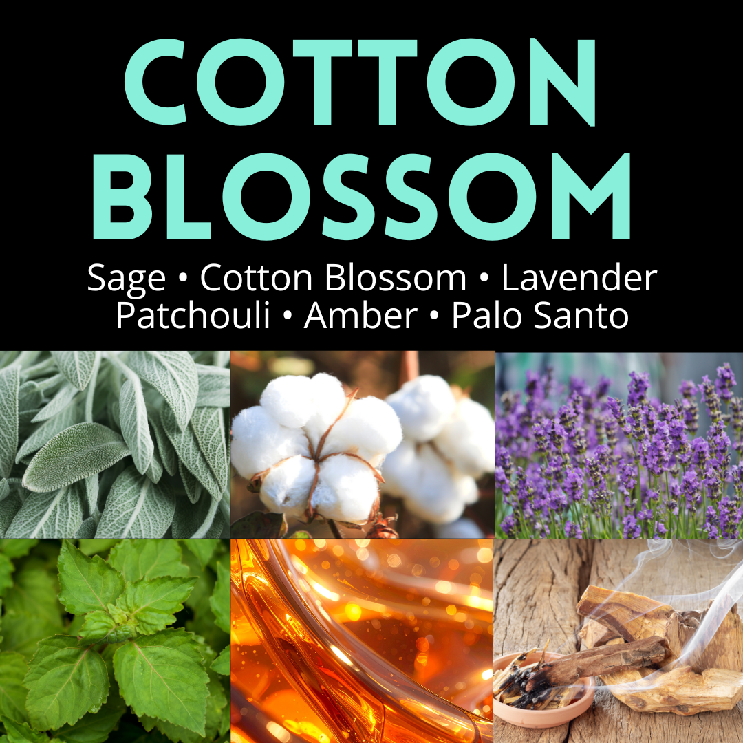 Cotton Blossom