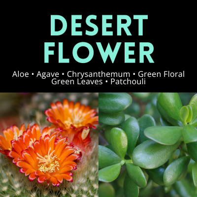 Desert Flower